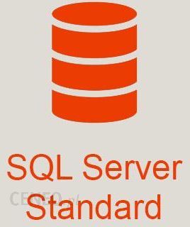 Microsoft SQL Server 2016 Standard + 45 User Cals - vovinam-polska.pl