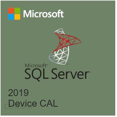 Microsoft SQL Server 2019 CAL - SQL Server 2019 - 1 Device CAL ...
